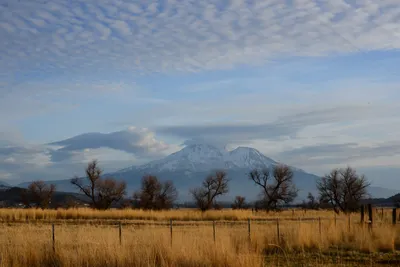 DSC_3087 (Large).JPG